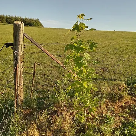 Vendégház La Petite Maison Dans Les Champs